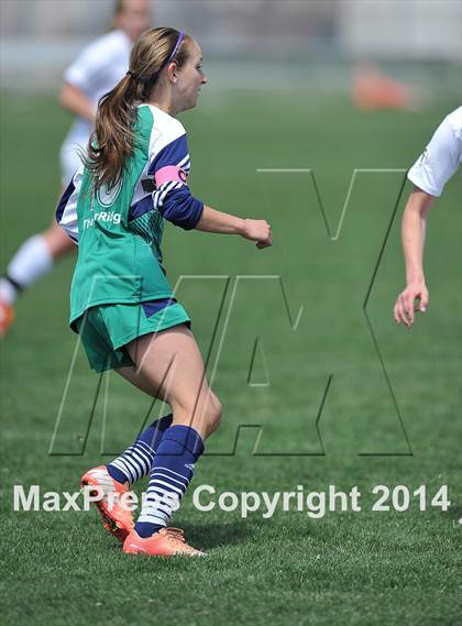 Thumbnail 2 in ThunderRidge @ Arapahoe photogallery.