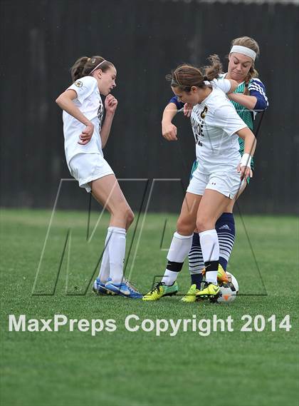 Thumbnail 2 in ThunderRidge @ Arapahoe photogallery.