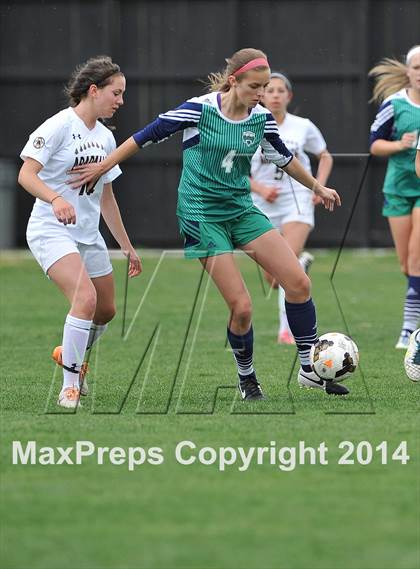 Thumbnail 3 in ThunderRidge @ Arapahoe photogallery.