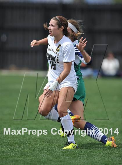 Thumbnail 3 in ThunderRidge @ Arapahoe photogallery.