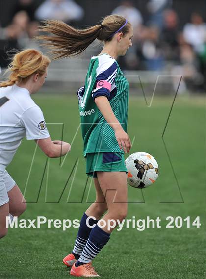 Thumbnail 3 in ThunderRidge @ Arapahoe photogallery.