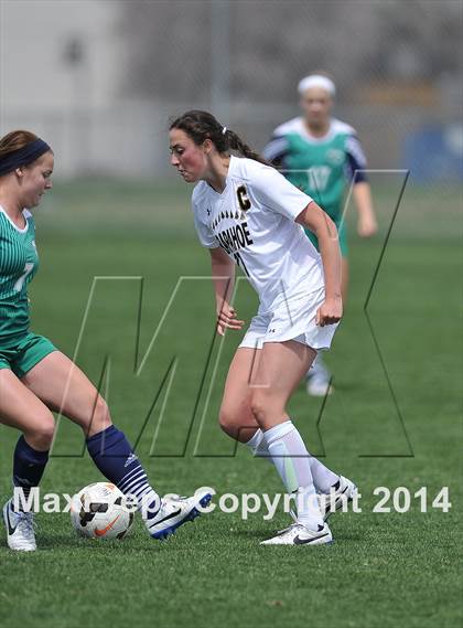 Thumbnail 3 in ThunderRidge @ Arapahoe photogallery.