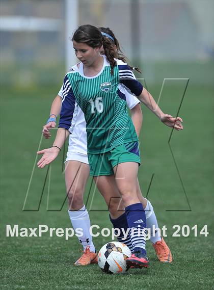 Thumbnail 3 in ThunderRidge @ Arapahoe photogallery.