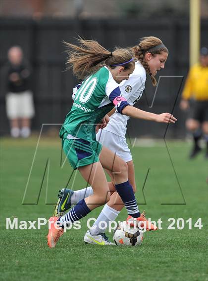 Thumbnail 1 in ThunderRidge @ Arapahoe photogallery.