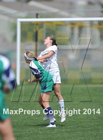 Thumbnail 3 in ThunderRidge @ Arapahoe photogallery.