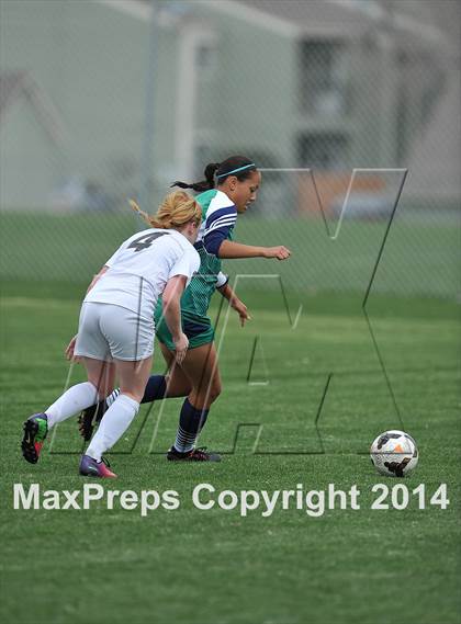 Thumbnail 3 in ThunderRidge @ Arapahoe photogallery.