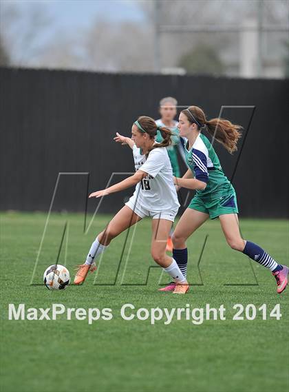 Thumbnail 3 in ThunderRidge @ Arapahoe photogallery.