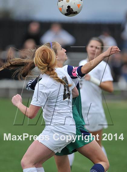 Thumbnail 3 in ThunderRidge @ Arapahoe photogallery.