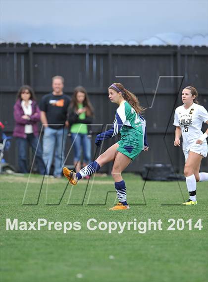 Thumbnail 3 in ThunderRidge @ Arapahoe photogallery.