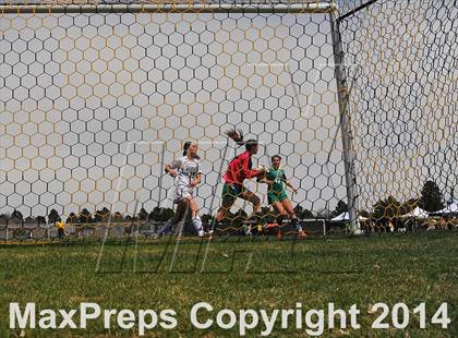 Thumbnail 3 in ThunderRidge @ Arapahoe photogallery.