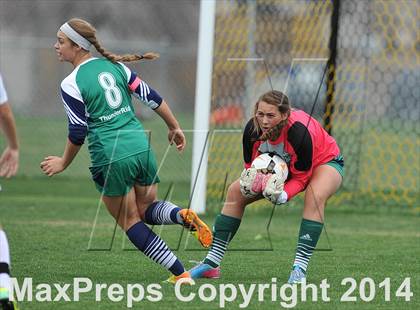 Thumbnail 2 in ThunderRidge @ Arapahoe photogallery.