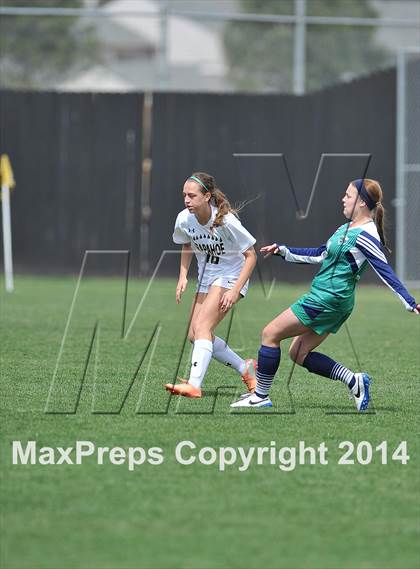 Thumbnail 3 in ThunderRidge @ Arapahoe photogallery.