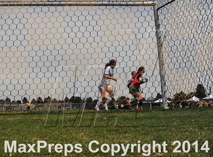 Thumbnail 2 in ThunderRidge @ Arapahoe photogallery.