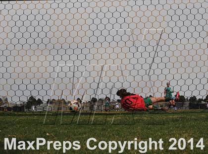 Thumbnail 2 in ThunderRidge @ Arapahoe photogallery.