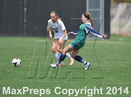 Thumbnail 2 in ThunderRidge @ Arapahoe photogallery.