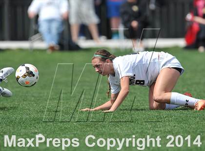 Thumbnail 3 in ThunderRidge @ Arapahoe photogallery.