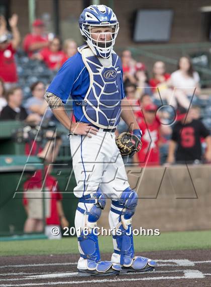 Thumbnail 1 in Springfield vs. Freeburg (IHSA Super Sectional) photogallery.