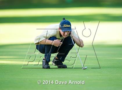 Thumbnail 2 in Milton @ Needham photogallery.