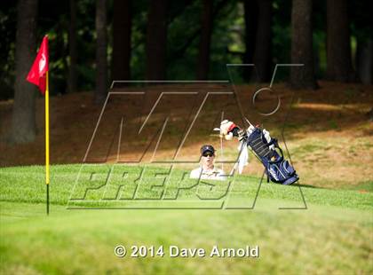 Thumbnail 1 in Milton @ Needham photogallery.