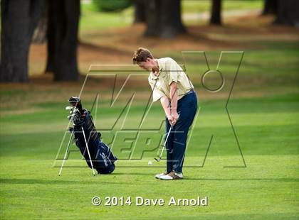 Thumbnail 1 in Milton @ Needham photogallery.