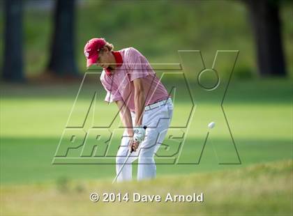 Thumbnail 1 in Milton @ Needham photogallery.