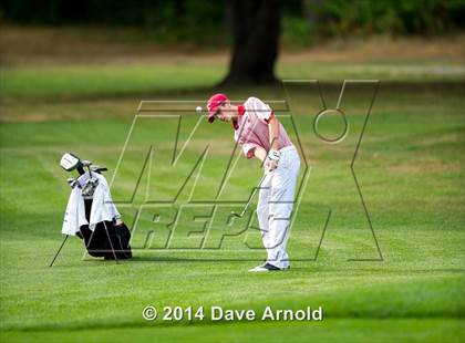 Thumbnail 2 in Milton @ Needham photogallery.