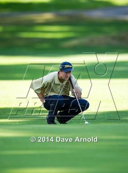 Thumbnail 2 in Milton @ Needham photogallery.