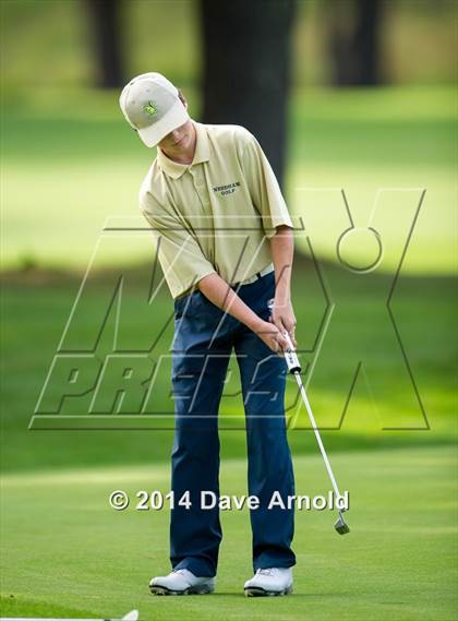 Thumbnail 2 in Milton @ Needham photogallery.