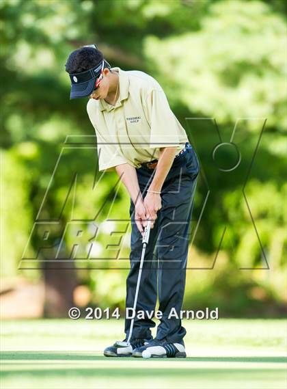 Thumbnail 1 in Milton @ Needham photogallery.