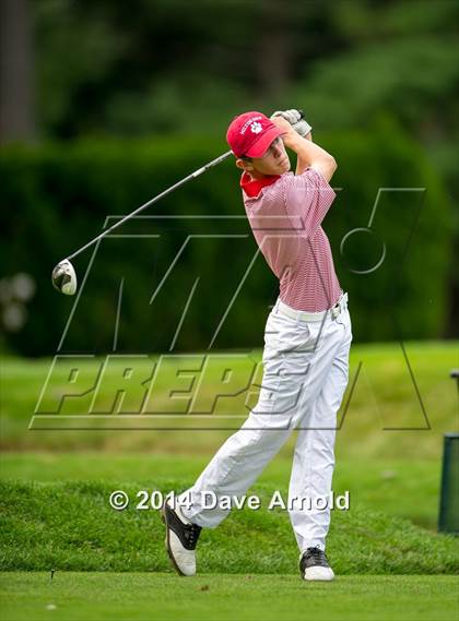 Thumbnail 2 in Milton @ Needham photogallery.