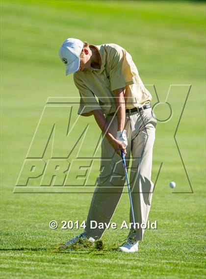 Thumbnail 2 in Milton @ Needham photogallery.