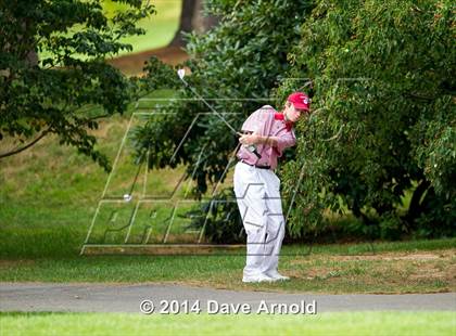 Thumbnail 1 in Milton @ Needham photogallery.