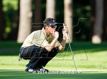 Thumbnail 2 in Milton @ Needham photogallery.