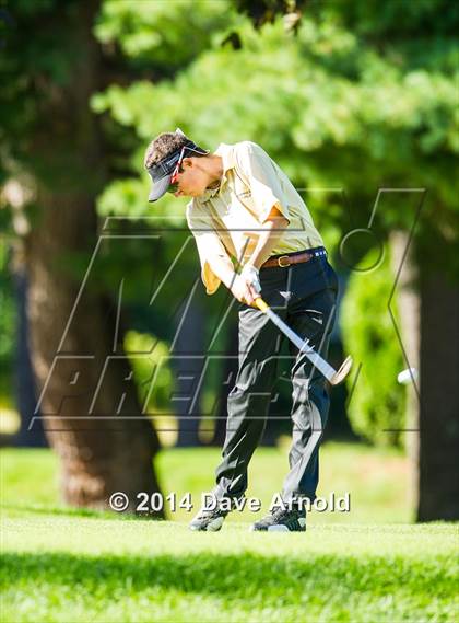 Thumbnail 1 in Milton @ Needham photogallery.