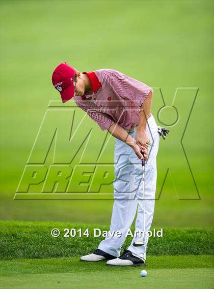 Thumbnail 1 in Milton @ Needham photogallery.