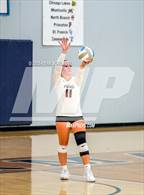 Photo from the gallery "North Branch @ Zimmerman"