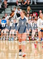 Photo from the gallery "North Branch @ Zimmerman"