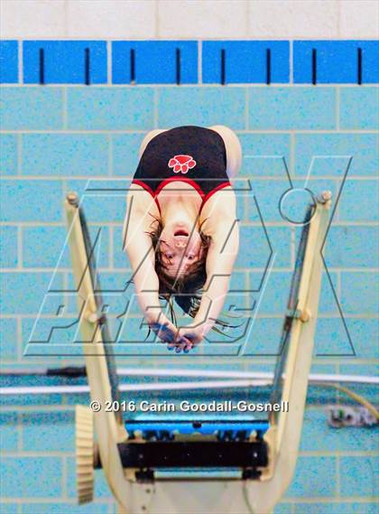Thumbnail 3 in NCHSAA 3A State Diving Championships photogallery.