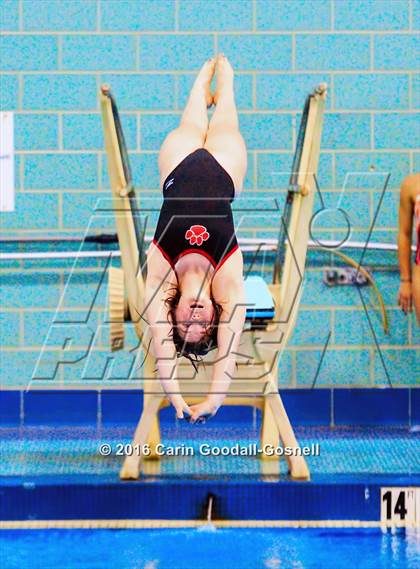 Thumbnail 1 in NCHSAA 3A State Diving Championships photogallery.