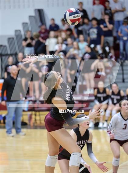 Thumbnail 1 in Garner @ Poolville photogallery.
