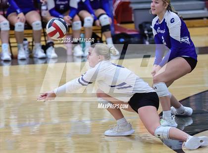 Thumbnail 2 in Garner @ Poolville photogallery.