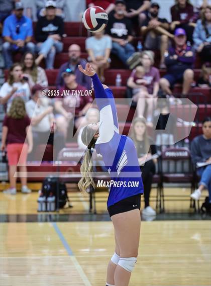 Thumbnail 1 in Garner @ Poolville photogallery.