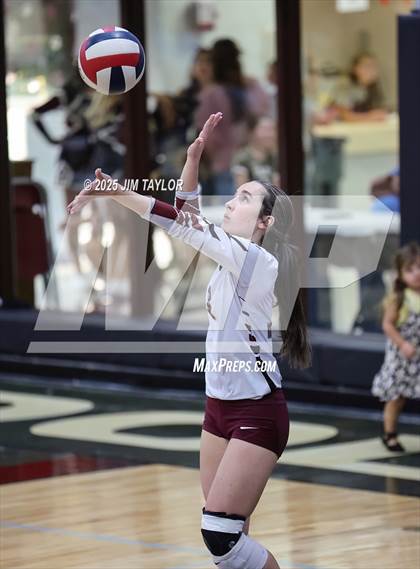 Thumbnail 1 in Garner @ Poolville photogallery.