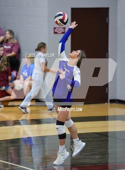 Thumbnail 3 in Garner @ Poolville photogallery.