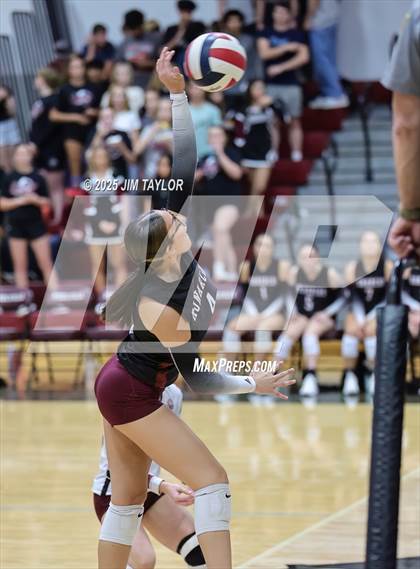 Thumbnail 2 in Garner @ Poolville photogallery.
