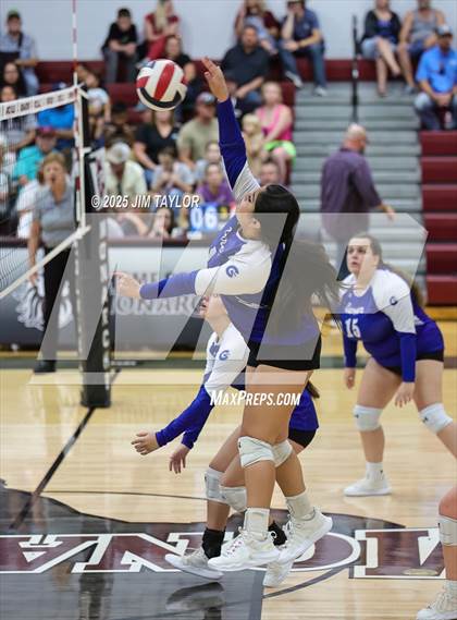 Thumbnail 2 in Garner @ Poolville photogallery.