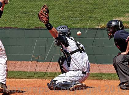 Thumbnail 3 in Seymour @ Farragut photogallery.
