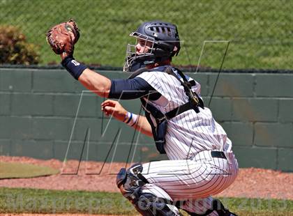 Thumbnail 2 in Seymour @ Farragut photogallery.