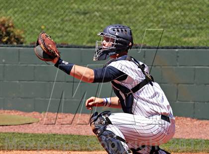Thumbnail 1 in Seymour @ Farragut photogallery.