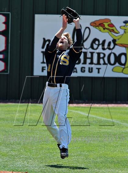 Thumbnail 2 in Seymour @ Farragut photogallery.